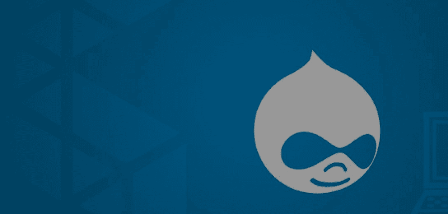 Drupal Ecommerce Development Background